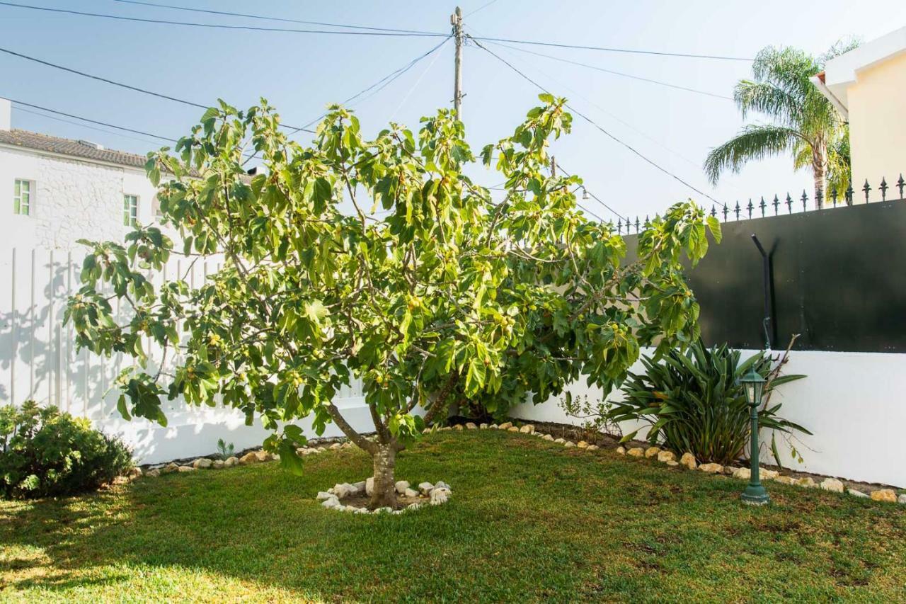 Casa Da Quintinha - Villa With A Pool Sesimbra Exterior photo